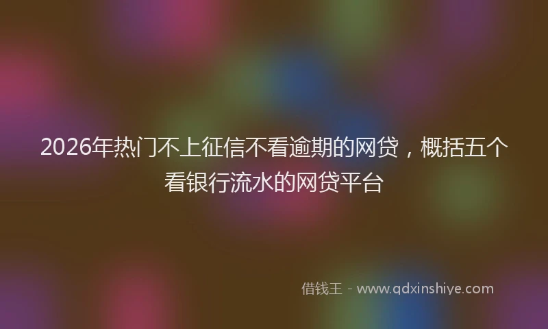 2026年热门不上征信不看逾期的网贷，概括五个看银行流水的网贷平台