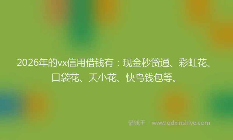 2026年的vx信用借钱有：现金秒贷通、彩虹花、口袋花、天小花、快鸟钱包等。