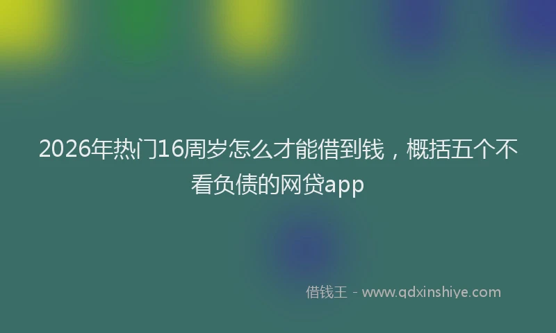 2026年热门16周岁怎么才能借到钱，概括五个不看负债的网贷app
