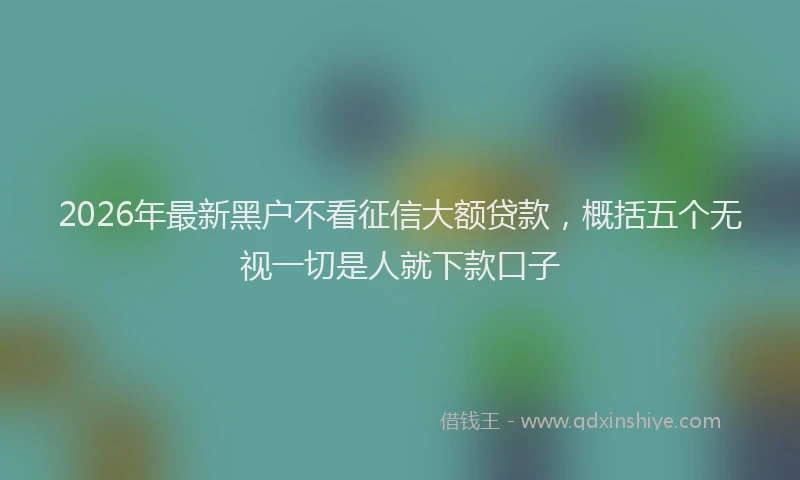 2026年最新黑户不看征信大额贷款，概括五个无视一切是人就下款口子