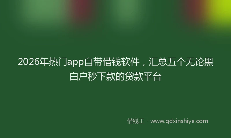2026年热门app自带借钱软件，汇总五个无论黑白户秒下款的贷款平台