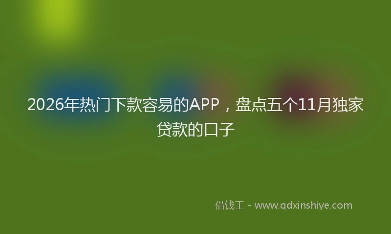 2026年热门下款容易的APP，盘点五个11月独家贷款的口子