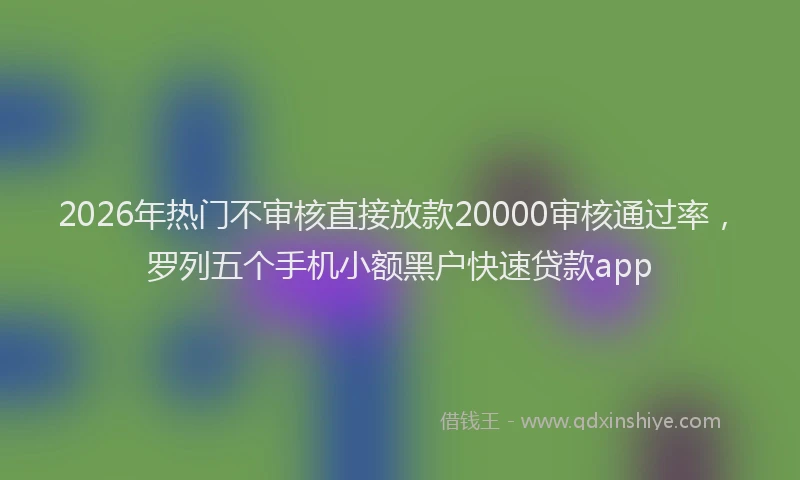 2026年热门不审核直接放款20000审核通过率，罗列五个手机小额黑户快速贷款app