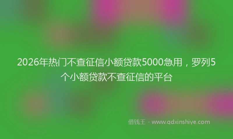 2026年热门不查征信小额贷款5000急用，罗列5个小额贷款不查征信的平台