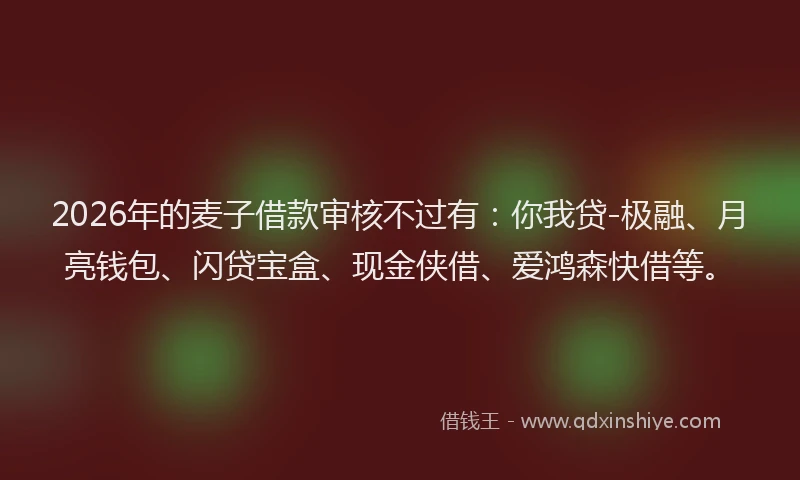 2026年的麦子借款审核不过有：你我贷-极融、月亮钱包、闪贷宝盒、现金侠借、爱鸿森快借等。