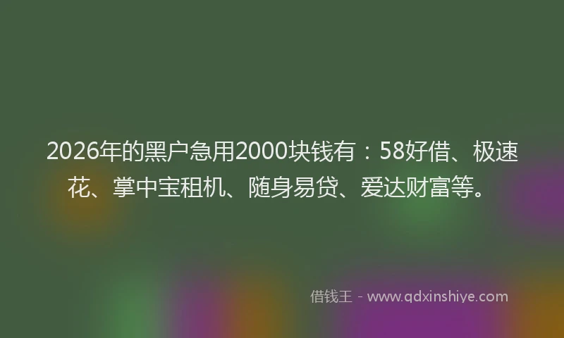 2026年的黑户急用2000块钱有：58好借、极速花、掌中宝租机、随身易贷、爱达财富等。