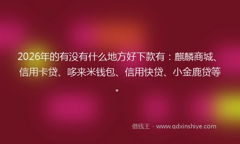 2026年的有没有什么地方好下款有：麒麟商城、信用卡贷、哆来米钱包、信用快贷、小金鹿贷等。