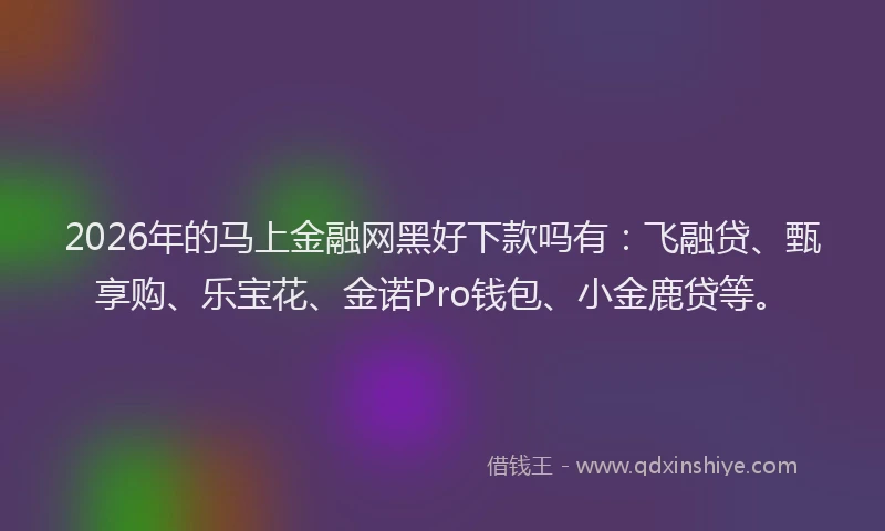2026年的马上金融网黑好下款吗有：飞融贷、甄享购、乐宝花、金诺Pro钱包、小金鹿贷等。