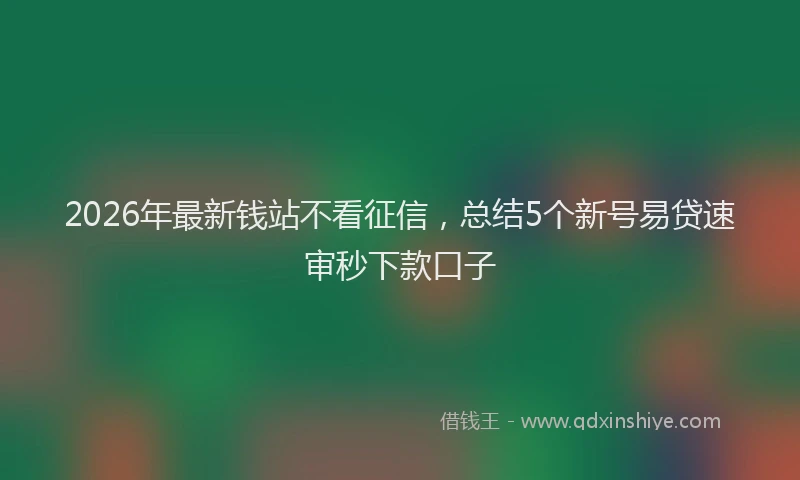 2026年最新钱站不看征信，总结5个新号易贷速审秒下款口子