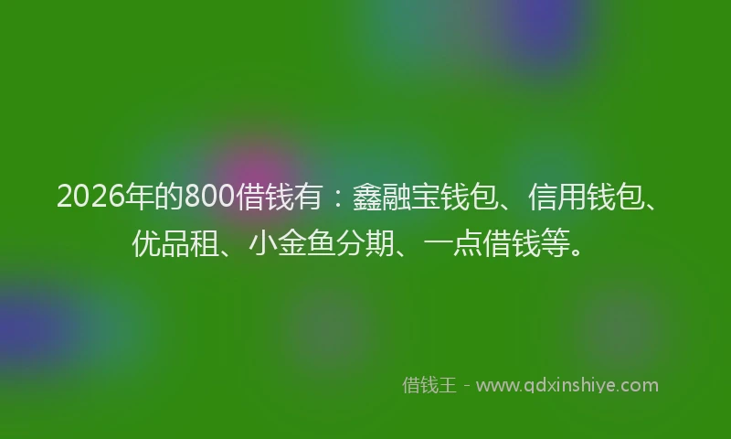 2026年的800借钱有：鑫融宝钱包、信用钱包、优品租、小金鱼分期、一点借钱等。
