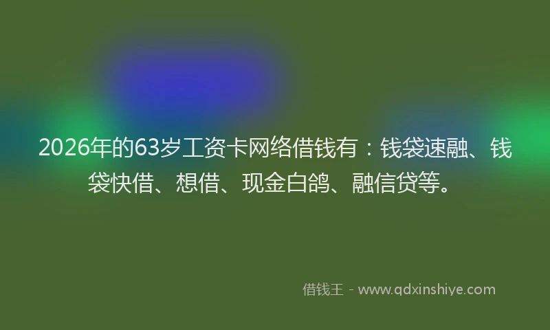 2026年的63岁工资卡网络借钱有：钱袋速融、钱袋快借、想借、现金白鸽、融信贷等。