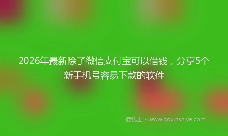 2026年最新除了微信支付宝可以借钱，分享5个新手机号容易下款的软件