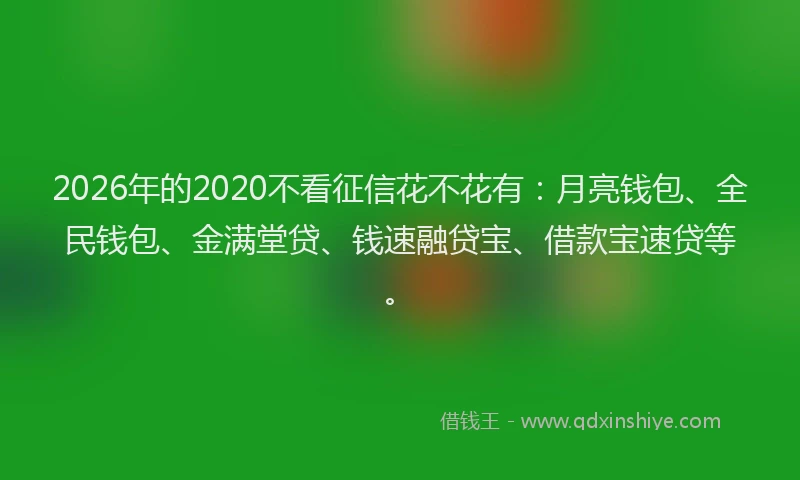 2026年的2020不看征信花不花有：月亮钱包、全民钱包、金满堂贷、钱速融贷宝、借款宝速贷等。