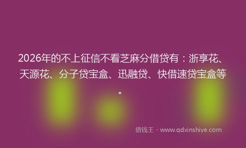 2026年的不上征信不看芝麻分借贷有：浙享花、天源花、分子贷宝盒、迅融贷、快借速贷宝盒等。