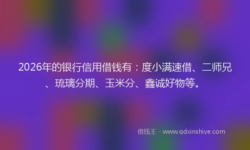 2026年的银行信用借钱有：度小满速借、二师兄、琉璃分期、玉米分、鑫诚好物等。