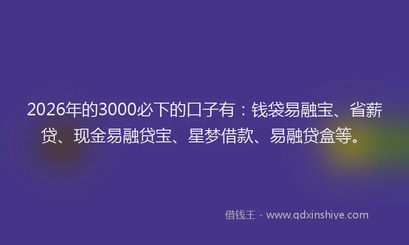 2026年的3000必下的口子有：钱袋易融宝、省薪贷、现金易融贷宝、星梦借款、易融贷盒等。