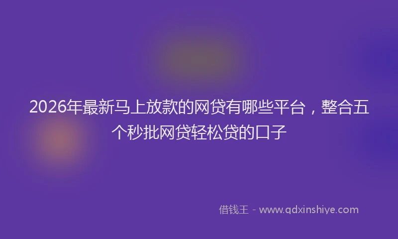 2026年最新马上放款的网贷有哪些平台，整合五个秒批网贷轻松贷的口子