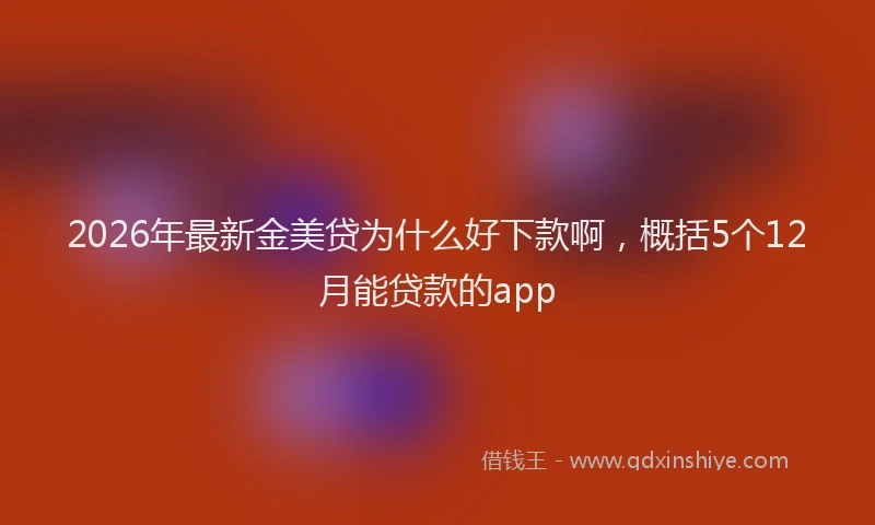 2026年最新金美贷为什么好下款啊，概括5个12月能贷款的app