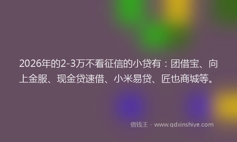 2026年的2-3万不看征信的小贷有：团借宝、向上金服、现金贷速借、小米易贷、匠也商城等。