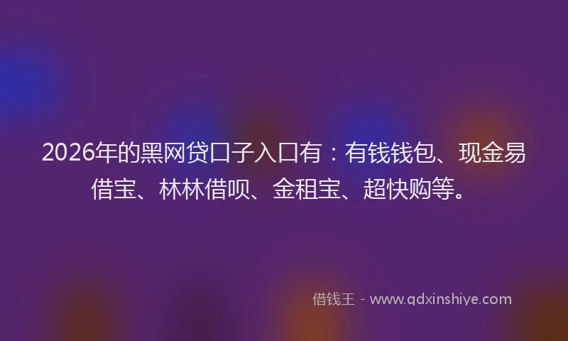 2026年的黑网贷口子入口有：有钱钱包、现金易借宝、林林借呗、金租宝、超快购等。