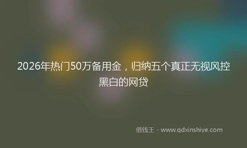 2026年热门50万备用金，归纳五个真正无视风控黑白的网贷