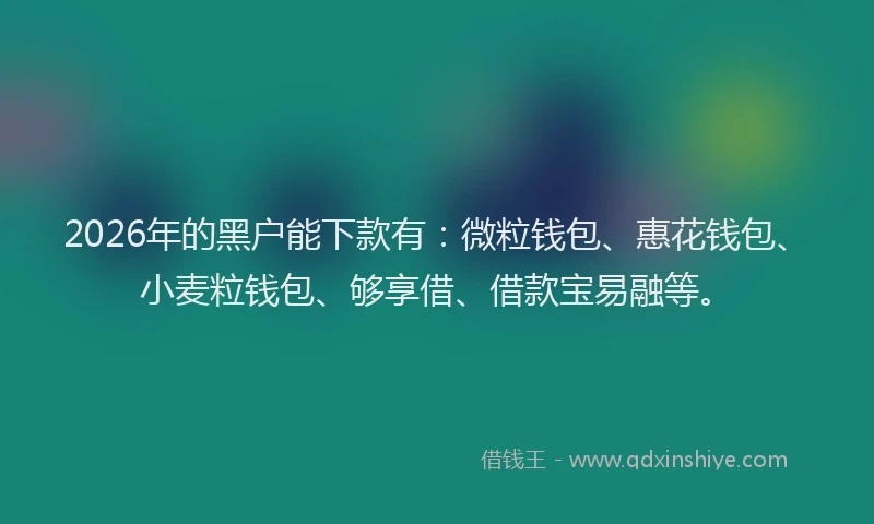 2026年的黑户能下款有：微粒钱包、惠花钱包、小麦粒钱包、够享借、借款宝易融等。