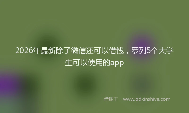 2026年最新除了微信还可以借钱，罗列5个大学生可以使用的app
