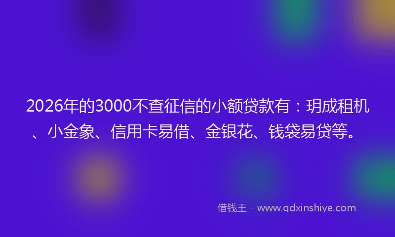 2026年的3000不查征信的小额贷款有：玥成租机、小金象、信用卡易借、金银花、钱袋易贷等。