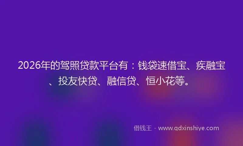2026年的驾照贷款平台有：钱袋速借宝、疾融宝、投友快贷、融信贷、恒小花等。
