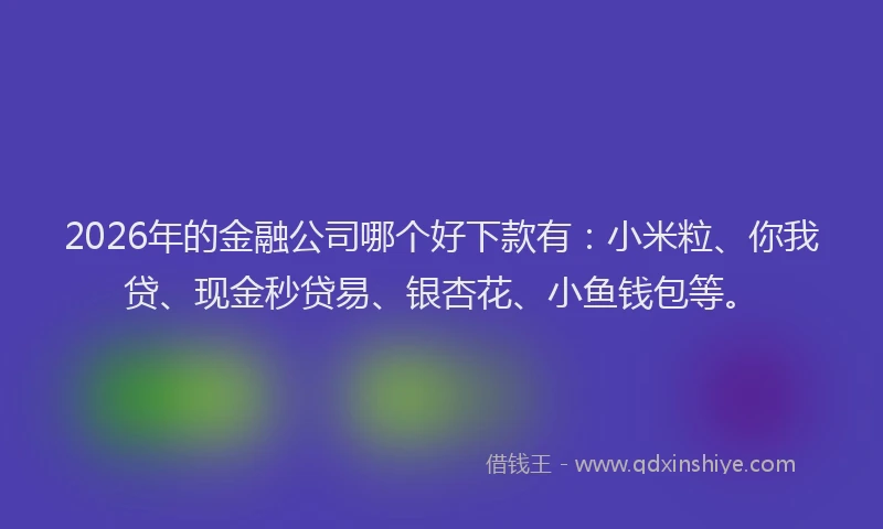 2026年的金融公司哪个好下款有：小米粒、你我贷、现金秒贷易、银杏花、小鱼钱包等。