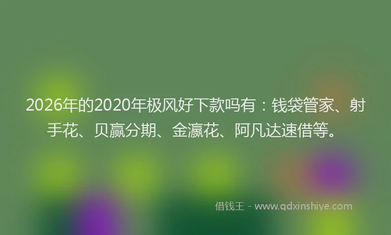 2026年的2020年极风好下款吗有：钱袋管家、射手花、贝赢分期、金瀛花、阿凡达速借等。