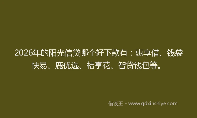 2026年的阳光信贷哪个好下款有：惠享借、钱袋快易、鹿优选、桔享花、智贷钱包等。