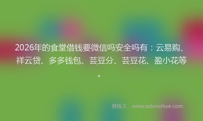 2026年的食堂借钱要微信吗安全吗有：云易购、祥云贷、多多钱包、芸豆分、芸豆花、盈小花等。