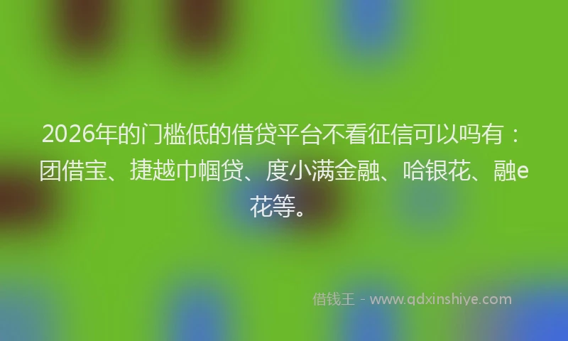2026年的门槛低的借贷平台不看征信可以吗有：团借宝、捷越巾帼贷、度小满金融、哈银花、融e花等。