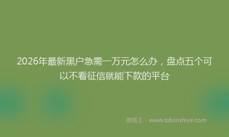 2026年最新黑户急需一万元怎么办，盘点五个可以不看征信就能下款的平台