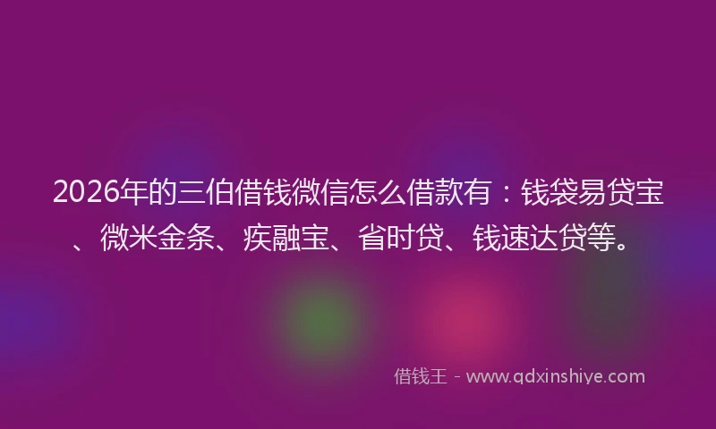 2026年的三伯借钱微信怎么借款有：钱袋易贷宝、微米金条、疾融宝、省时贷、钱速达贷等。