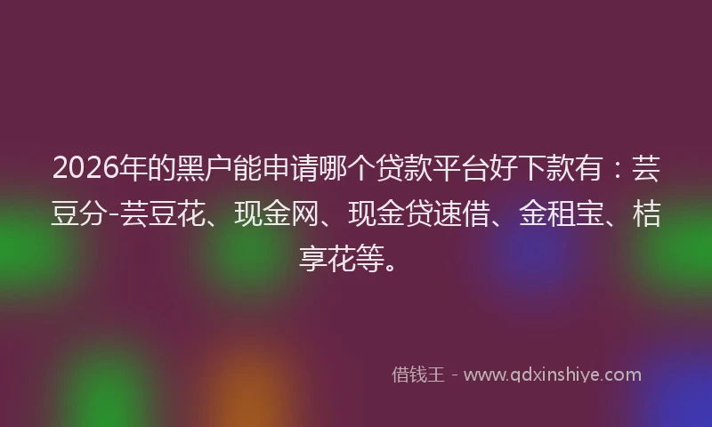 2026年的黑户能申请哪个贷款平台好下款有：芸豆分-芸豆花、现金网、现金贷速借、金租宝、桔享花等。