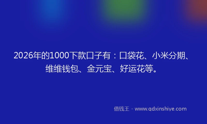 2026年的1000下款口子有：口袋花、小米分期、维维钱包、金元宝、好运花等。