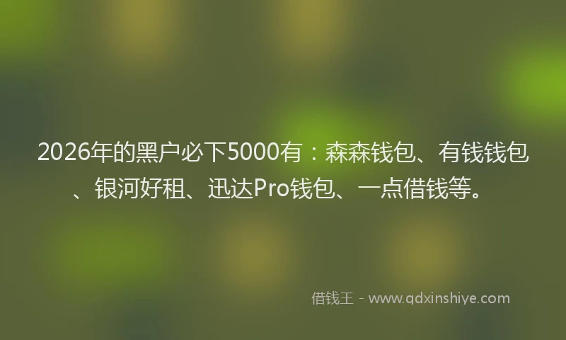 2026年的黑户必下5000有：森森钱包、有钱钱包、银河好租、迅达Pro钱包、一点借钱等。