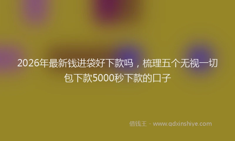 2026年最新钱进袋好下款吗，梳理五个无视一切包下款5000秒下款的口子