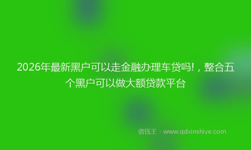 2026年最新黑户可以走金融办理车贷吗!，整合五个黑户可以做大额贷款平台