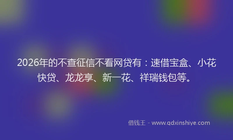 2026年的不查征信不看网贷有：速借宝盒、小花快贷、龙龙享、新一花、祥瑞钱包等。