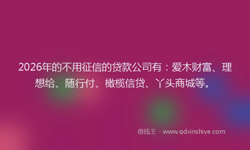 2026年的不用征信的贷款公司有：爱木财富、理想给、随行付、橄榄信贷、丫头商城等。
