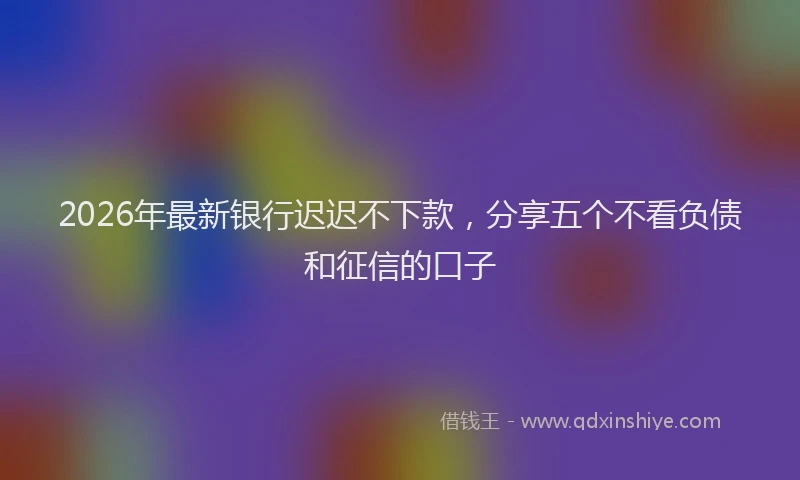 2026年最新银行迟迟不下款，分享五个不看负债和征信的口子