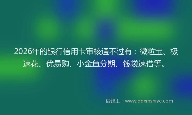 2026年的银行信用卡审核通不过有：微粒宝、极速花、优易购、小金鱼分期、钱袋速借等。