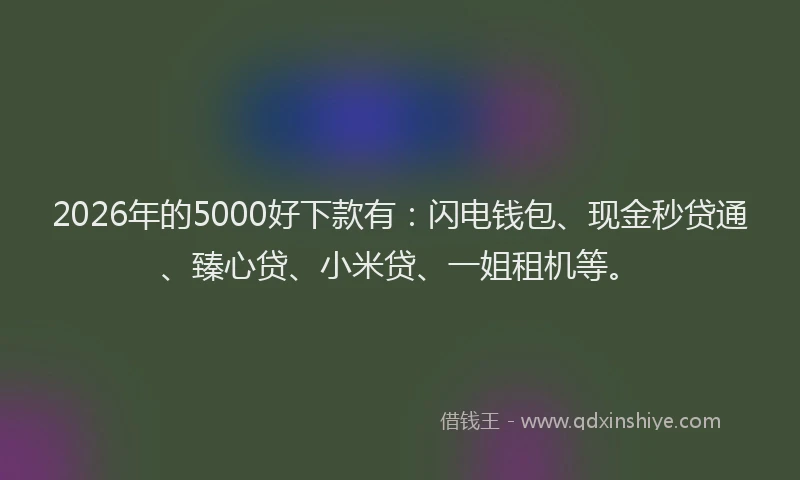 2026年的5000好下款有：闪电钱包、现金秒贷通、臻心贷、小米贷、一姐租机等。