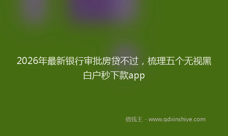 2026年最新银行审批房贷不过，梳理五个无视黑白户秒下款app
