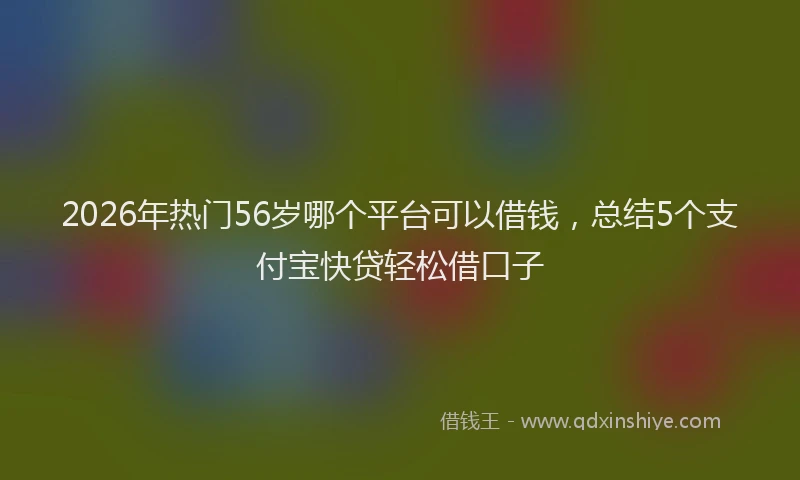 2026年热门56岁哪个平台可以借钱，总结5个支付宝快贷轻松借口子