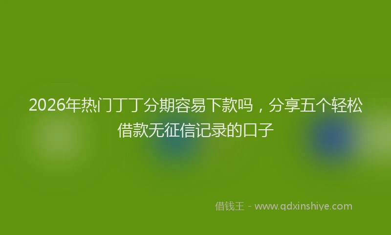 2026年热门丁丁分期容易下款吗，分享五个轻松借款无征信记录的口子
