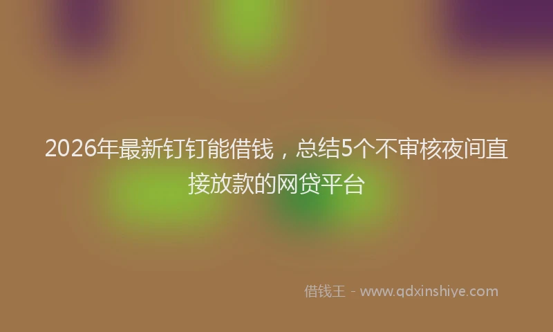 2026年最新钉钉能借钱，总结5个不审核夜间直接放款的网贷平台